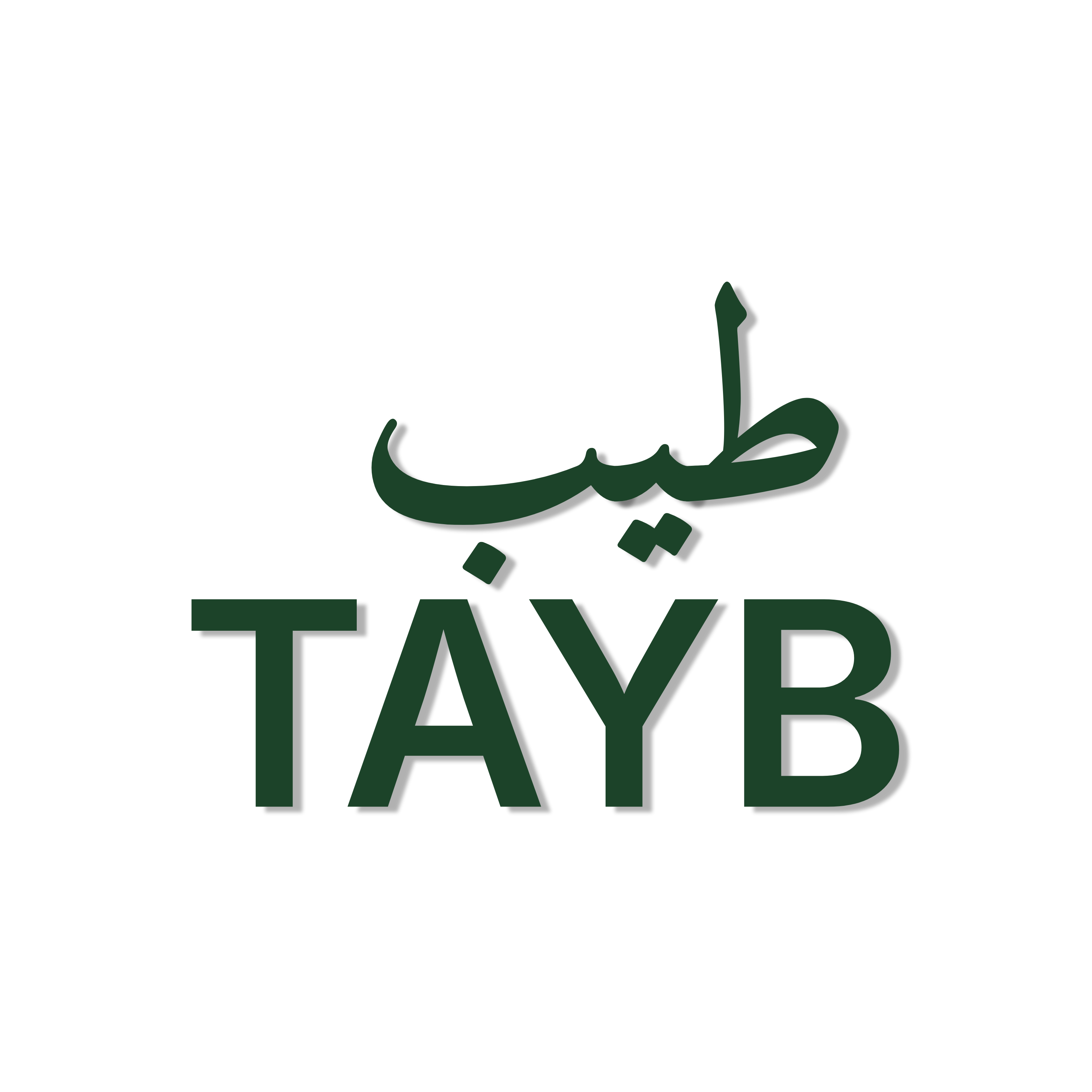 Tayb Tayb Home | Ethical asset backed Investment